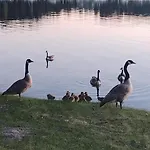 2 Villa Imatra